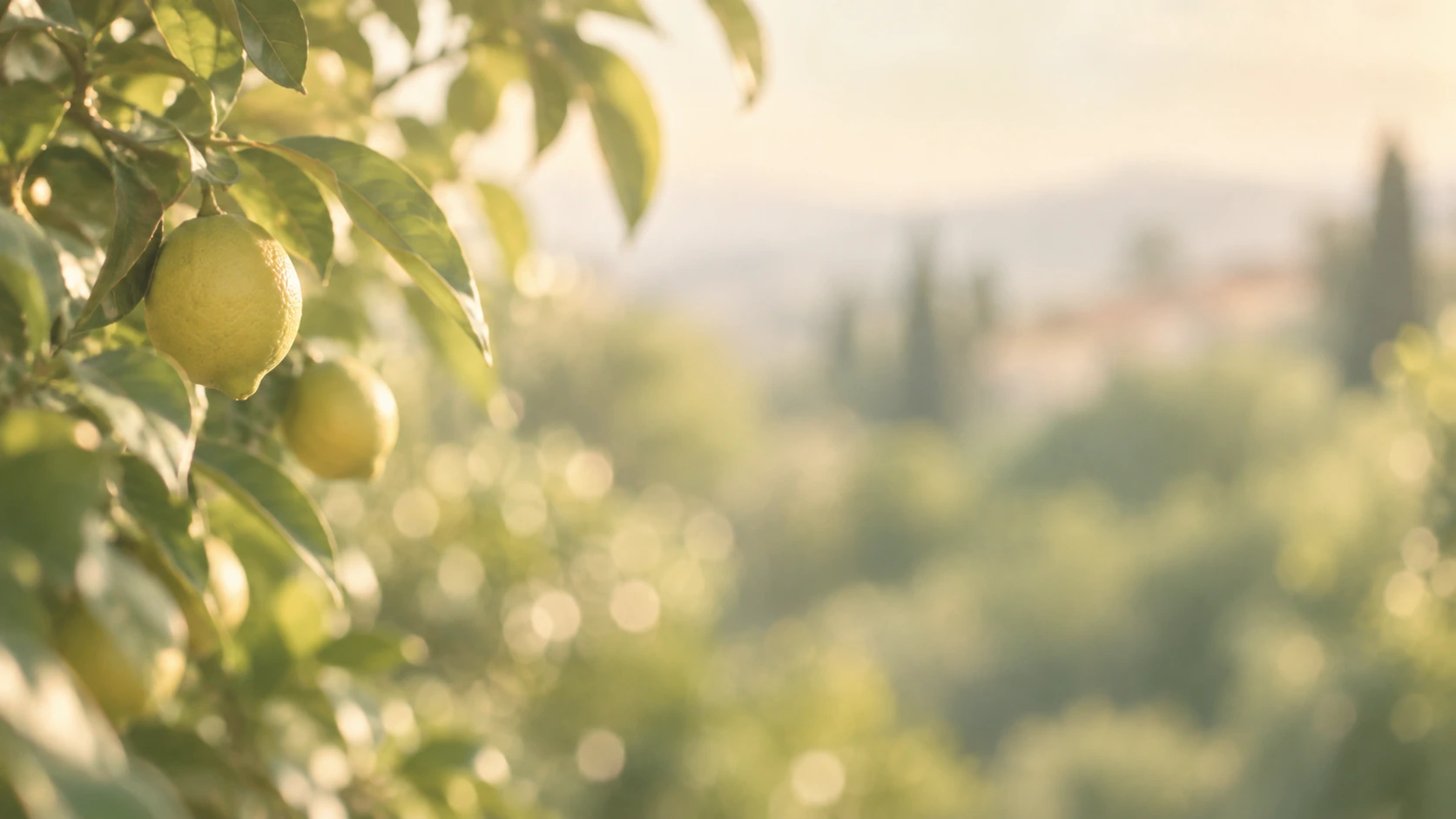 A bright, sunlit garden with a citrus palette. Secondary color treatment within the same collection.