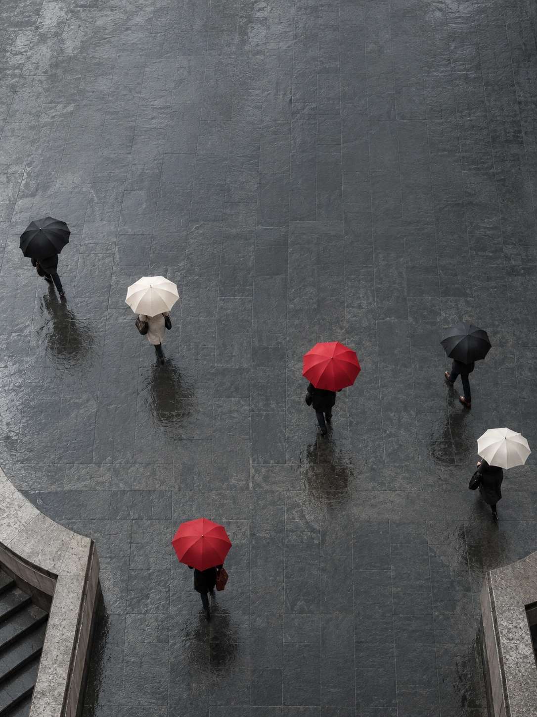 Direct overhead view of a small crowd with distinct ivory, black and red umbrellas walking across rain-dark stone, not a dense pattern.