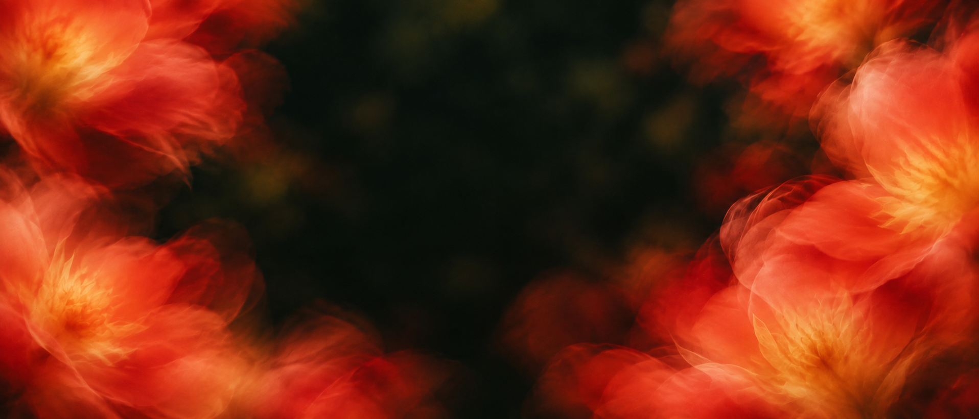 Vivid coral petals drifting into deep botanical shadow. Closing call-to-action or signup section.