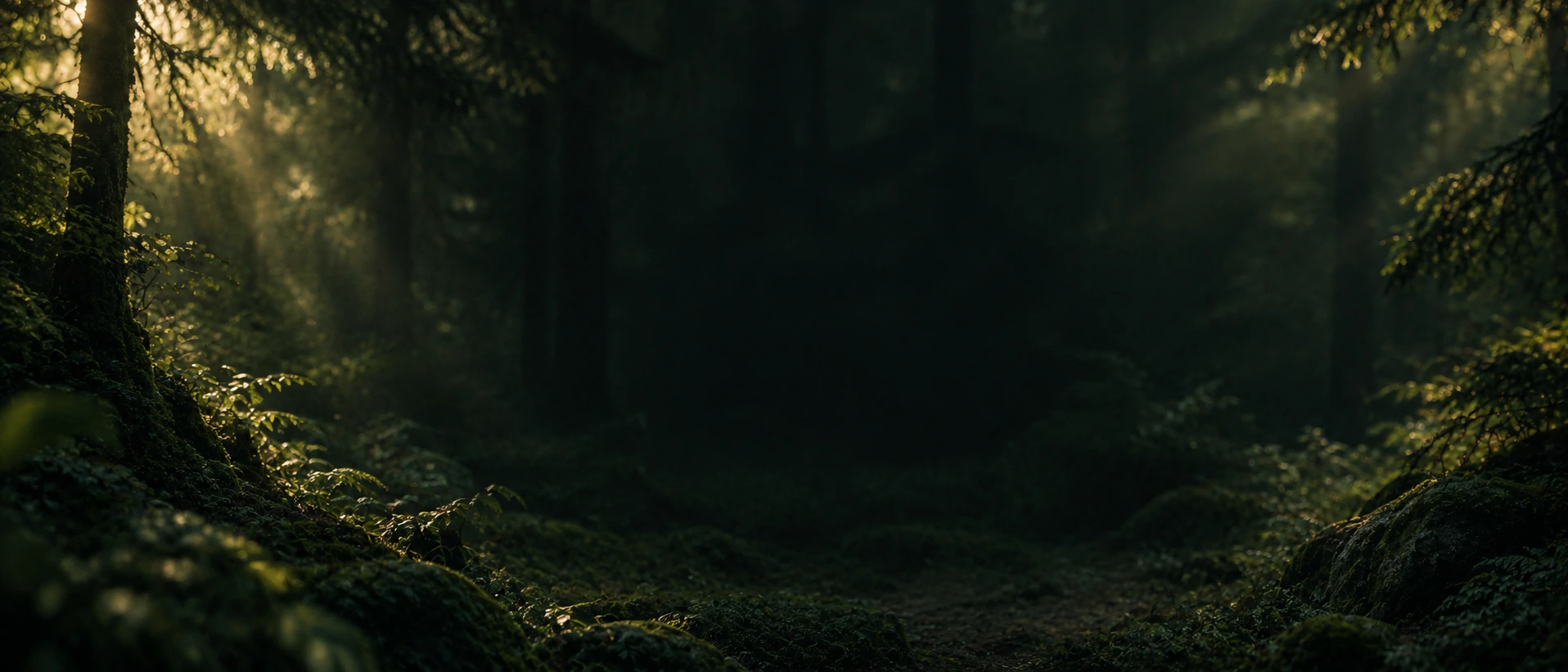 Dappled green light and natural, quiet depth. Closing call-to-action or signup section.