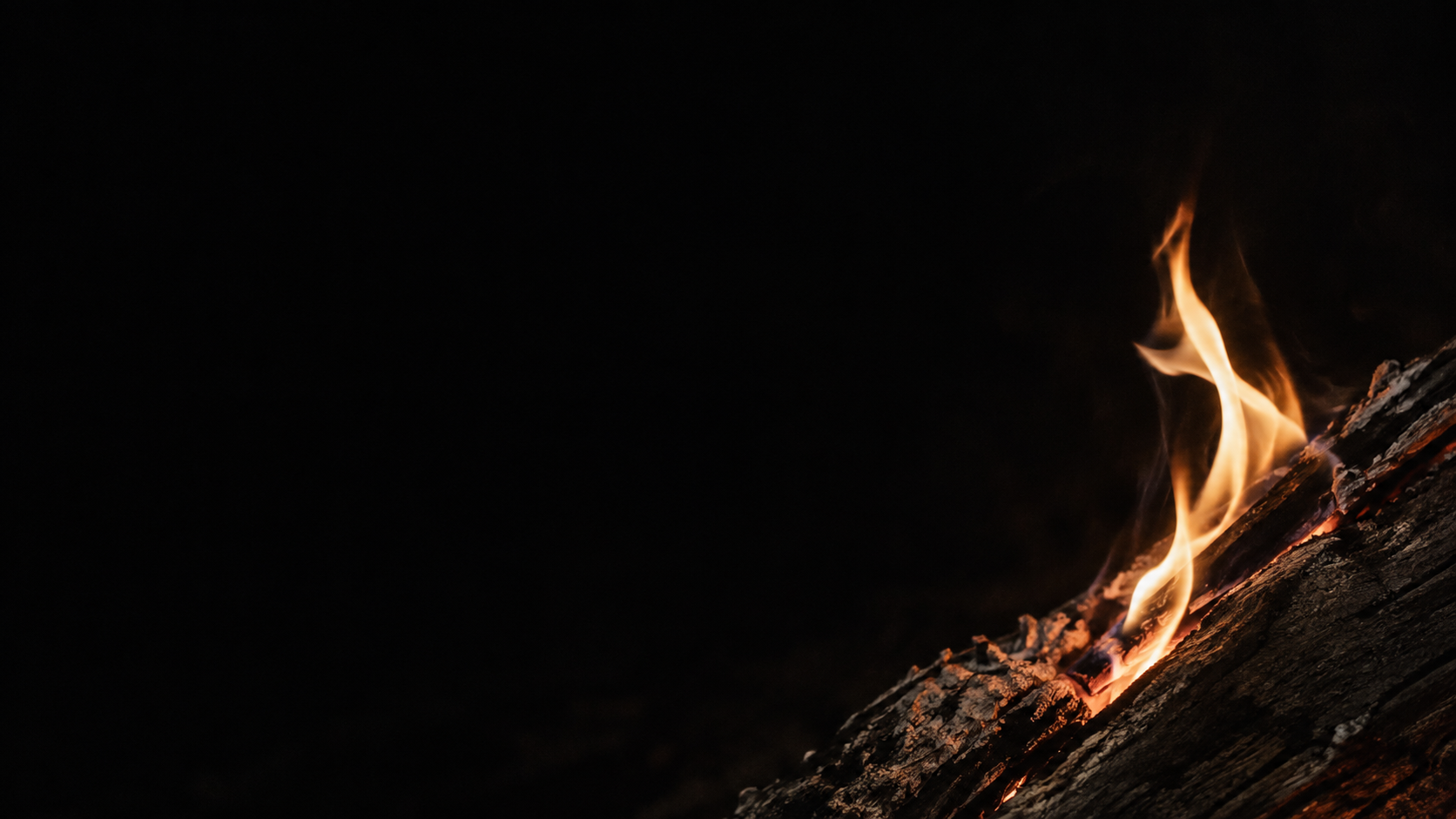 One small uneven flame rises from a charred split in a dark log.