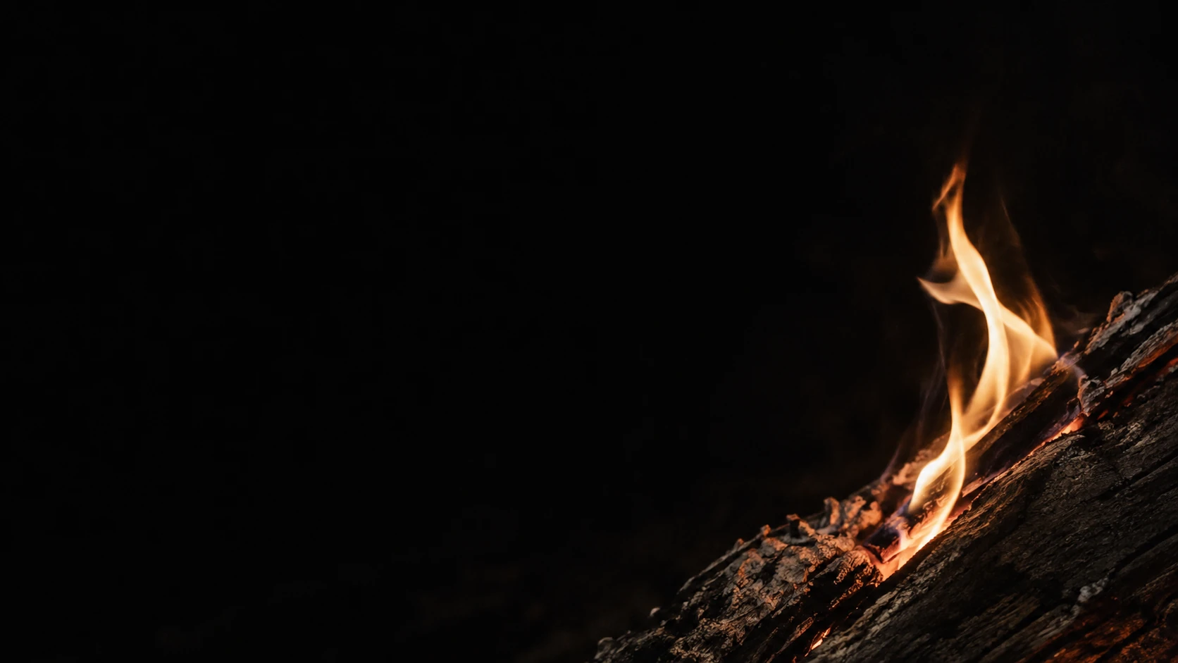 One small uneven flame rises from a charred split in a dark log.