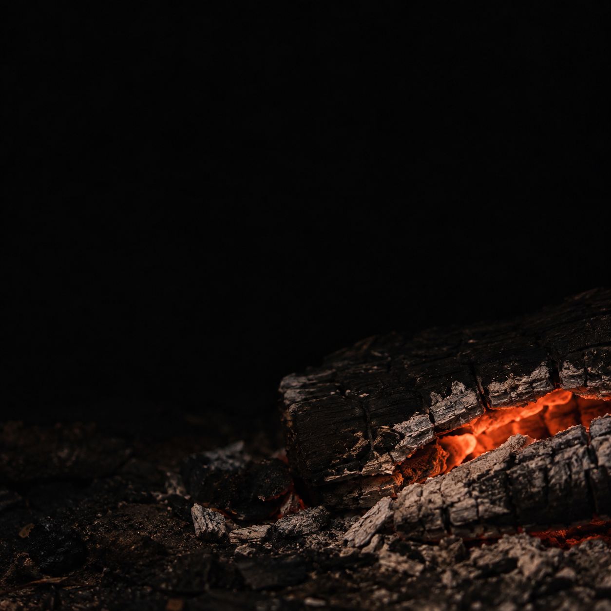 A partly burned piece of wood holds a tiny orange glow beneath pale ash.