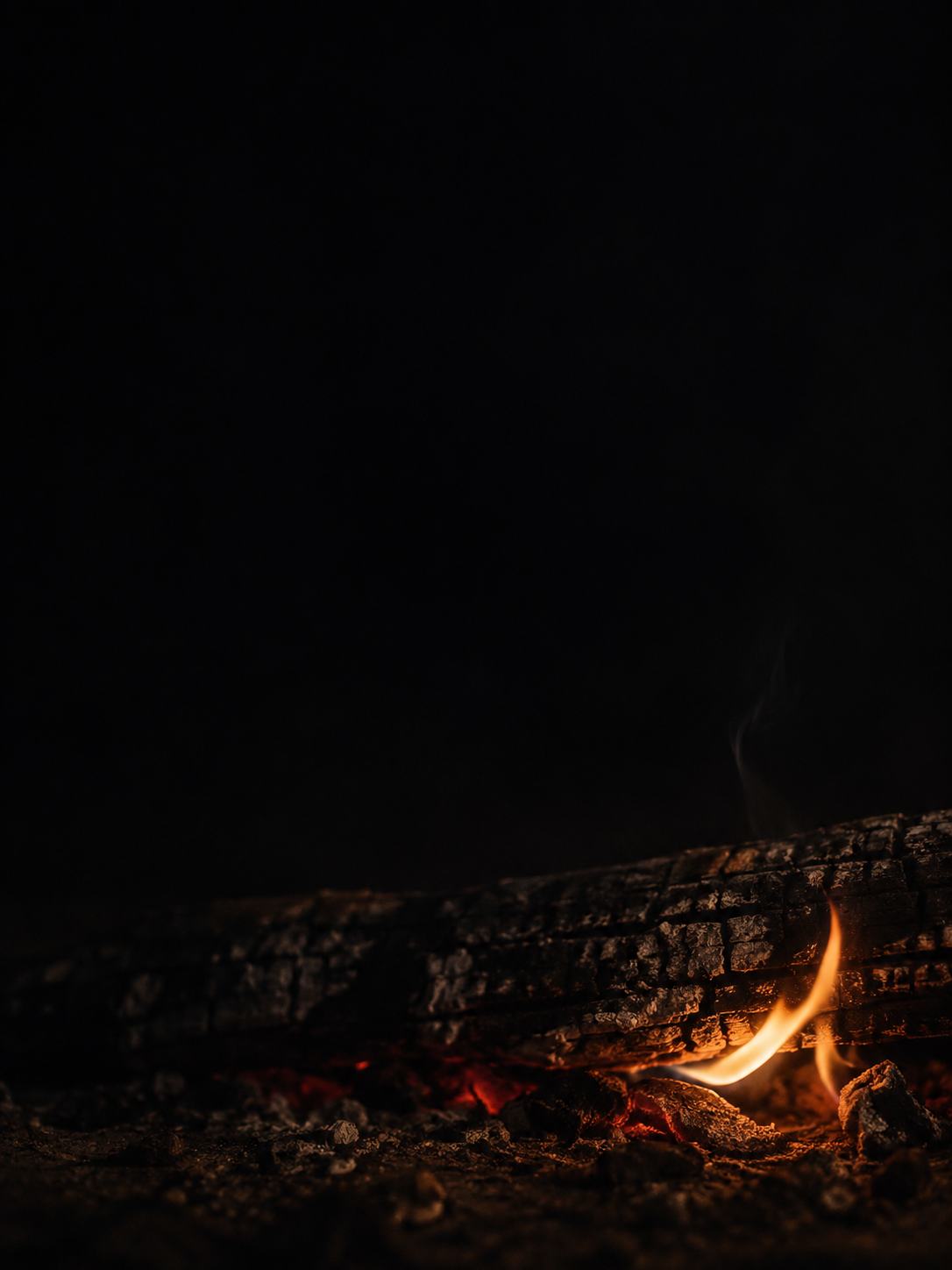A tiny fading flame and a few embers remain under a collapsed log.