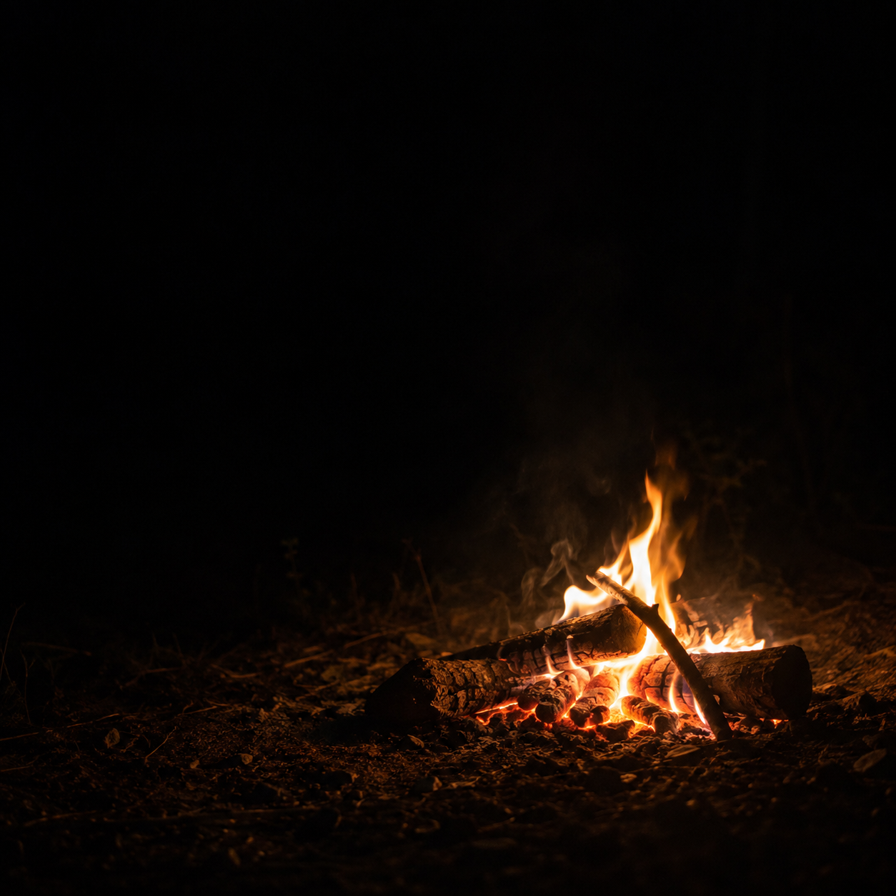An irregular campfire glows low in a dark square frame.