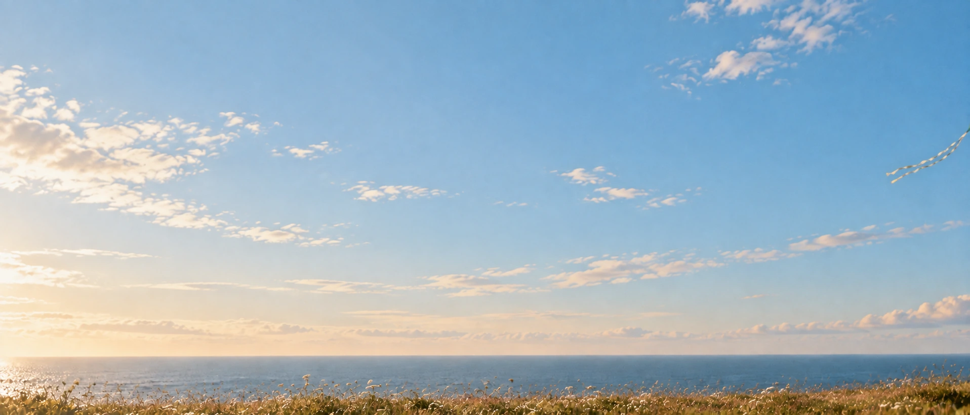 Playful kites and a wide-open sky. Low-detail section background or divider.