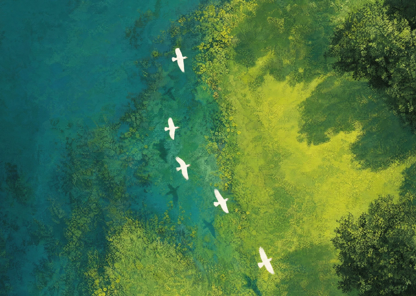 White Birds Above Emerald Forest. Original explorations of open landscapes and natural color.