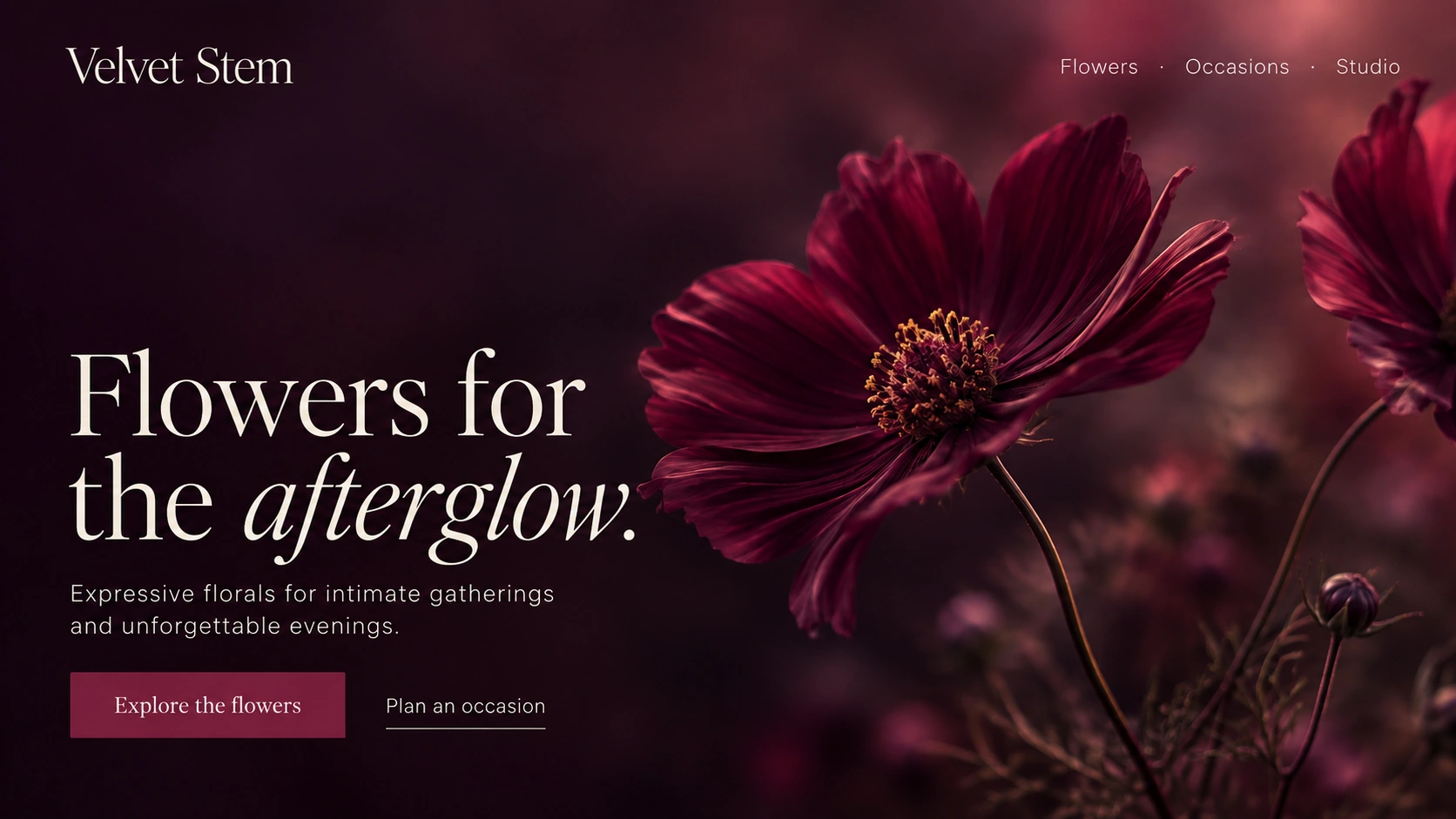 Velvet Stem · Floral design studio. Static website hero mockup using Night garden imagery.