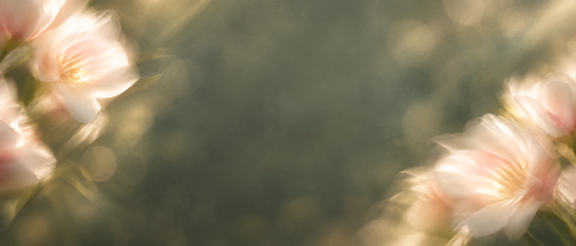 Delicate pearl blossoms in soft, luminous light. Closing call-to-action or signup section.