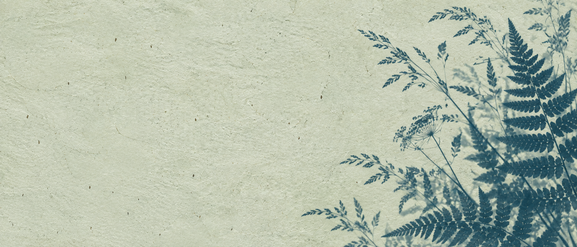 Botanical silhouettes in a restrained sage cyanotype treatment. Alternate hero with copy on left.