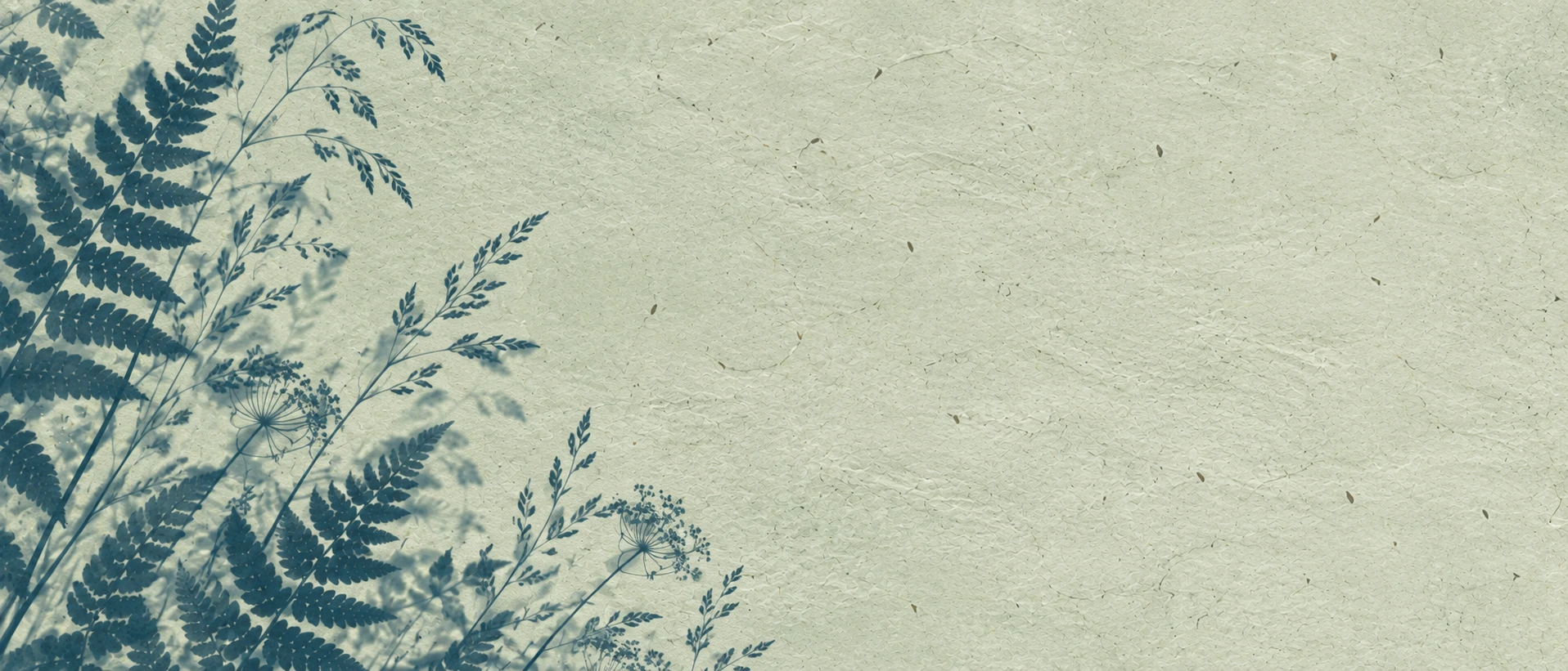 Botanical silhouettes in a restrained sage cyanotype treatment. Alternate hero with copy on right.