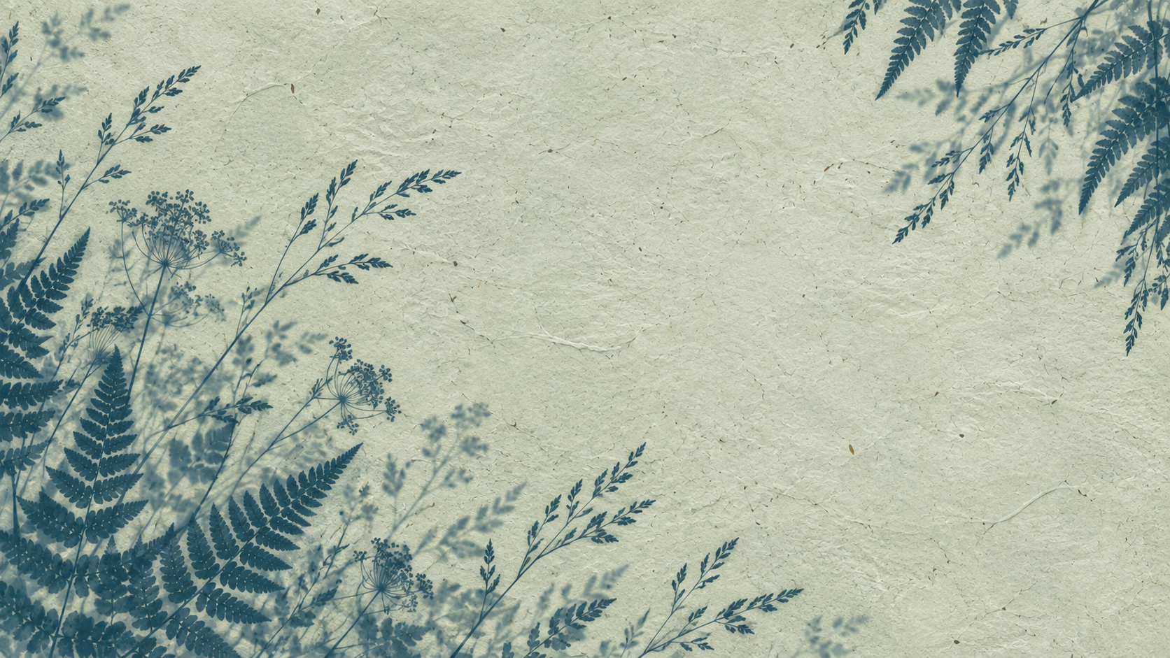 Botanical silhouettes in a restrained sage cyanotype treatment. About or editorial section image.