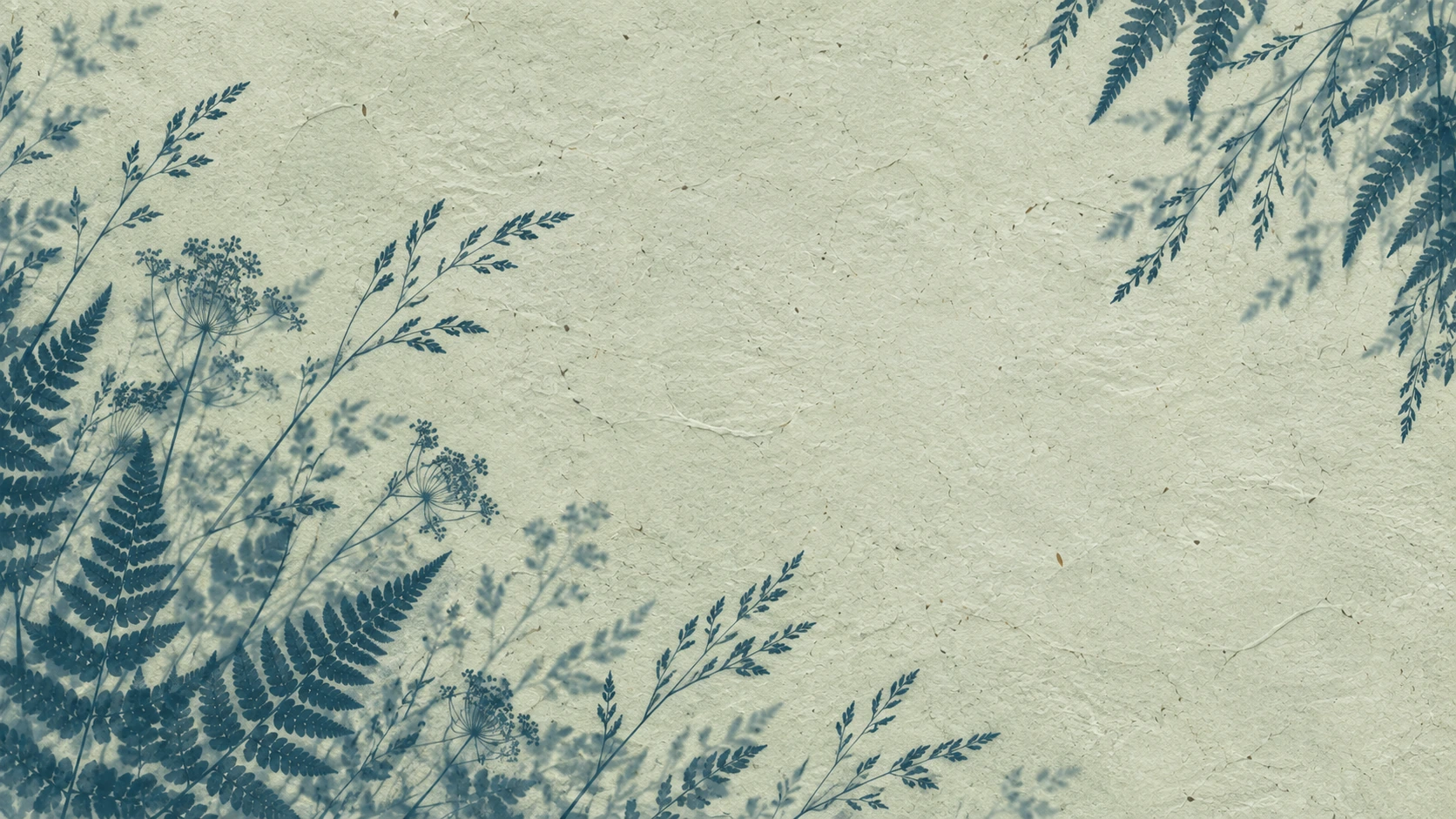Botanical silhouettes in a restrained sage cyanotype treatment. About or editorial section image.