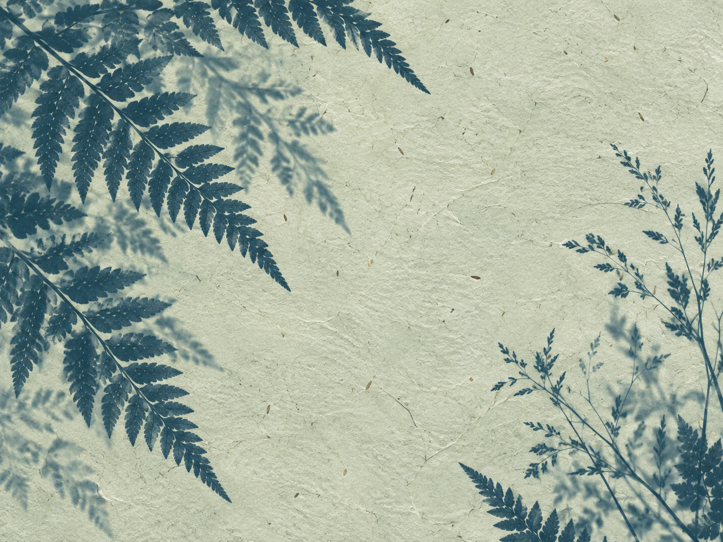 Botanical silhouettes in a restrained sage cyanotype treatment. Close detail for feature section.