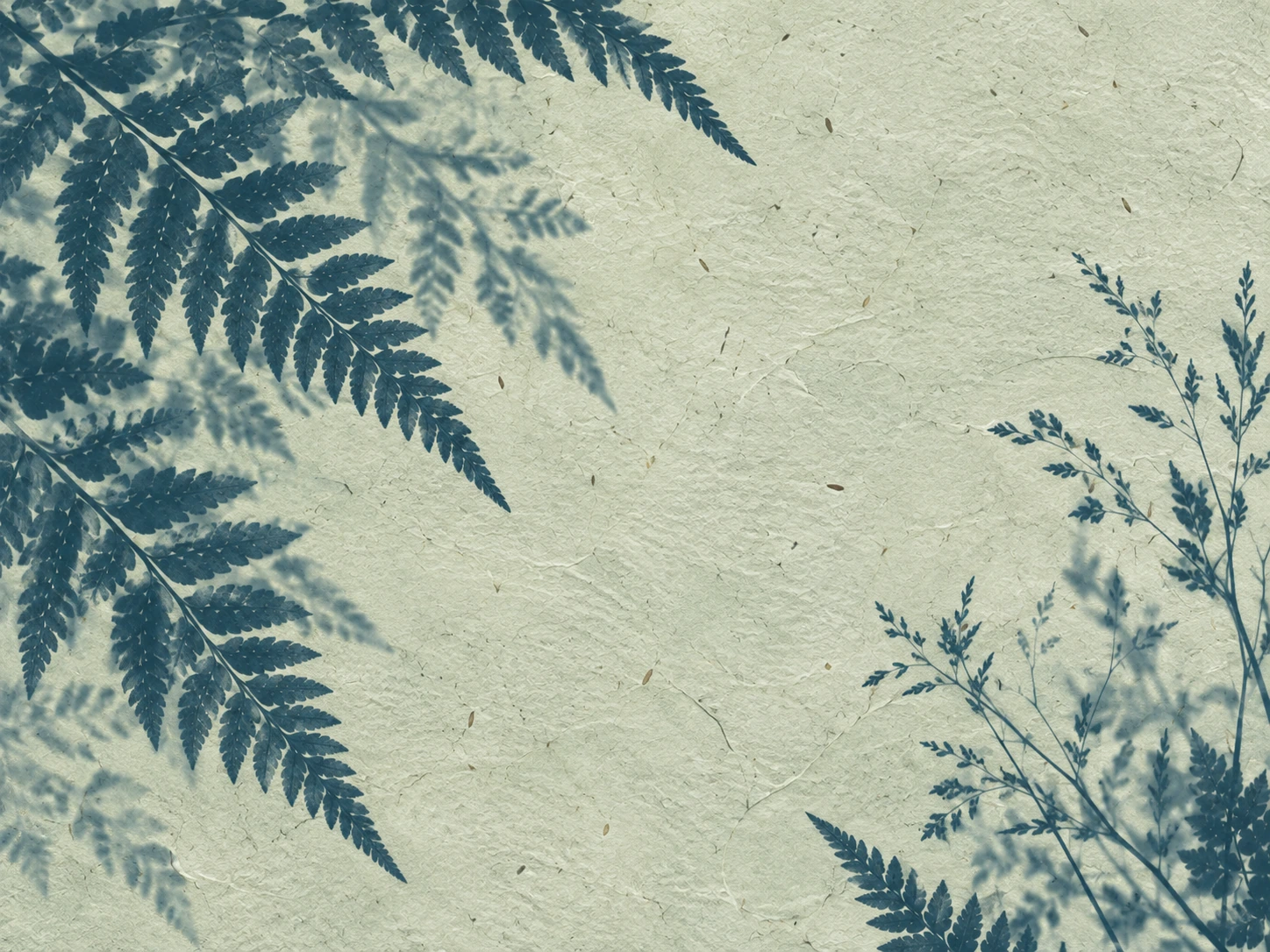 Botanical silhouettes in a restrained sage cyanotype treatment. Close detail for feature section.