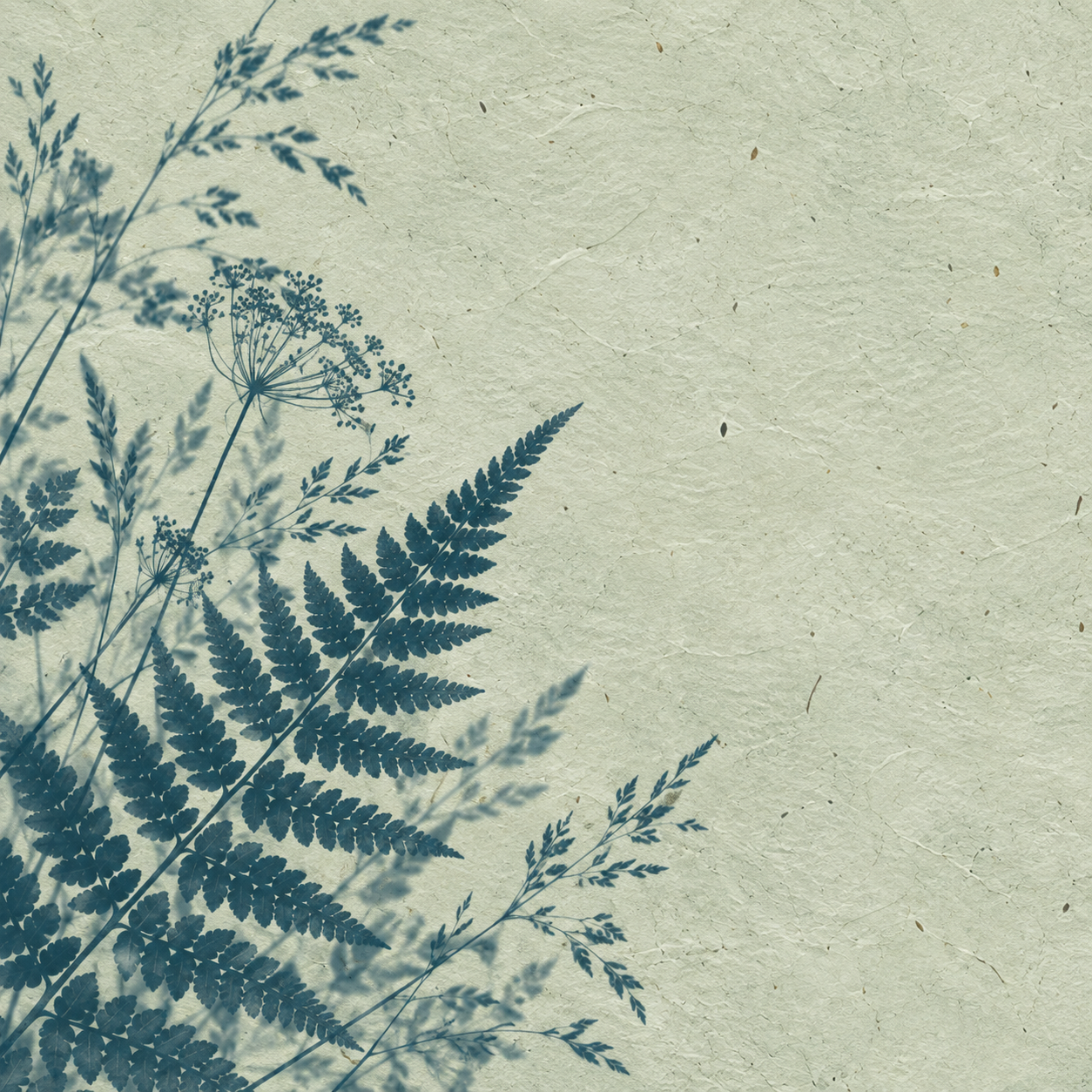 Botanical silhouettes in a restrained sage cyanotype treatment. Square editorial or social card.