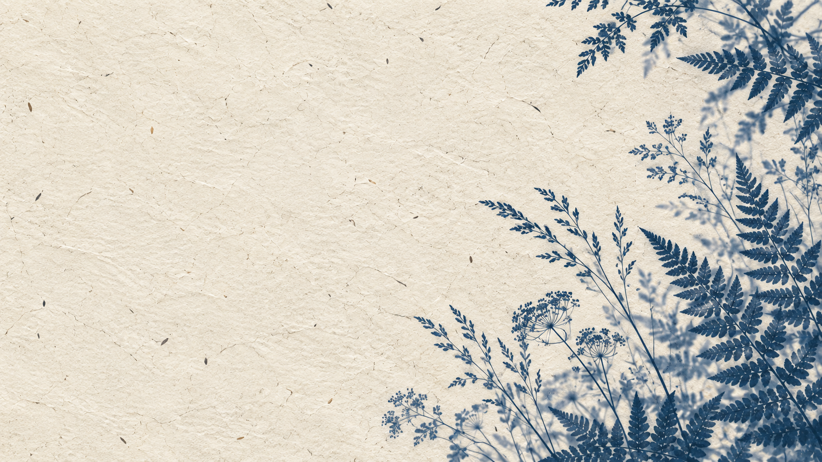 Botanical silhouettes in a restrained sage cyanotype treatment. Alternate palette section image.