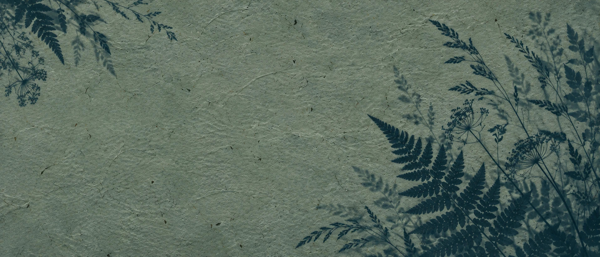 Botanical silhouettes in a restrained sage cyanotype treatment. Darker section background.