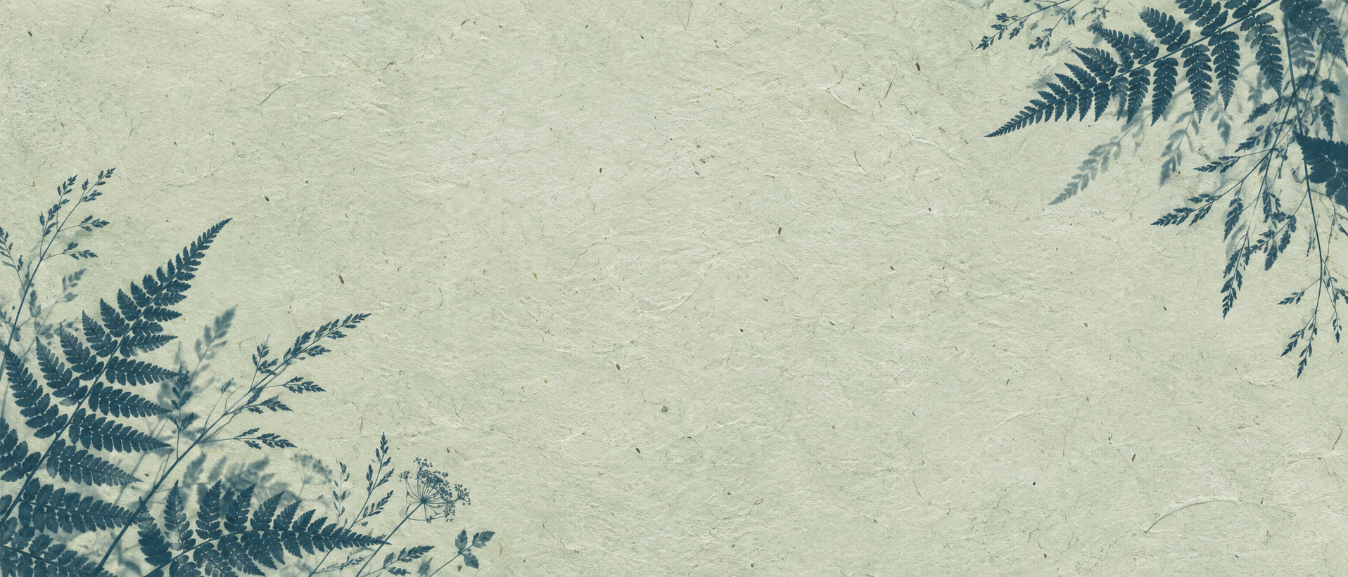 Botanical silhouettes in a restrained sage cyanotype treatment. Main background.