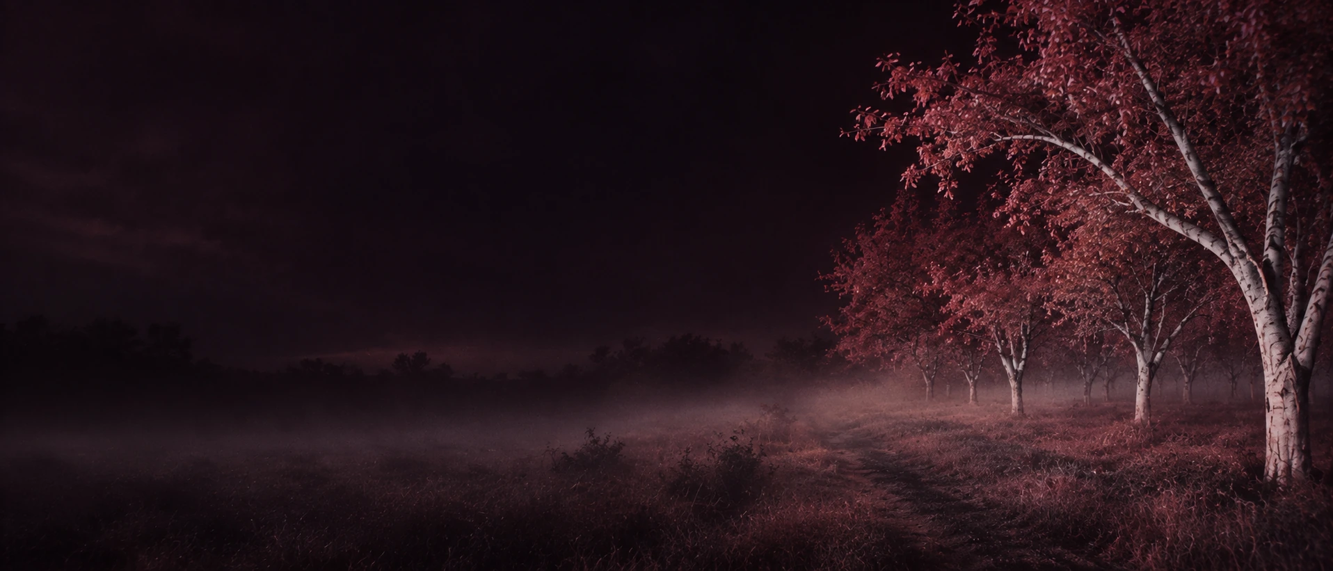 An eerie infrared orchard, wine-red foliage and pale trees. Alternate hero with copy on left.