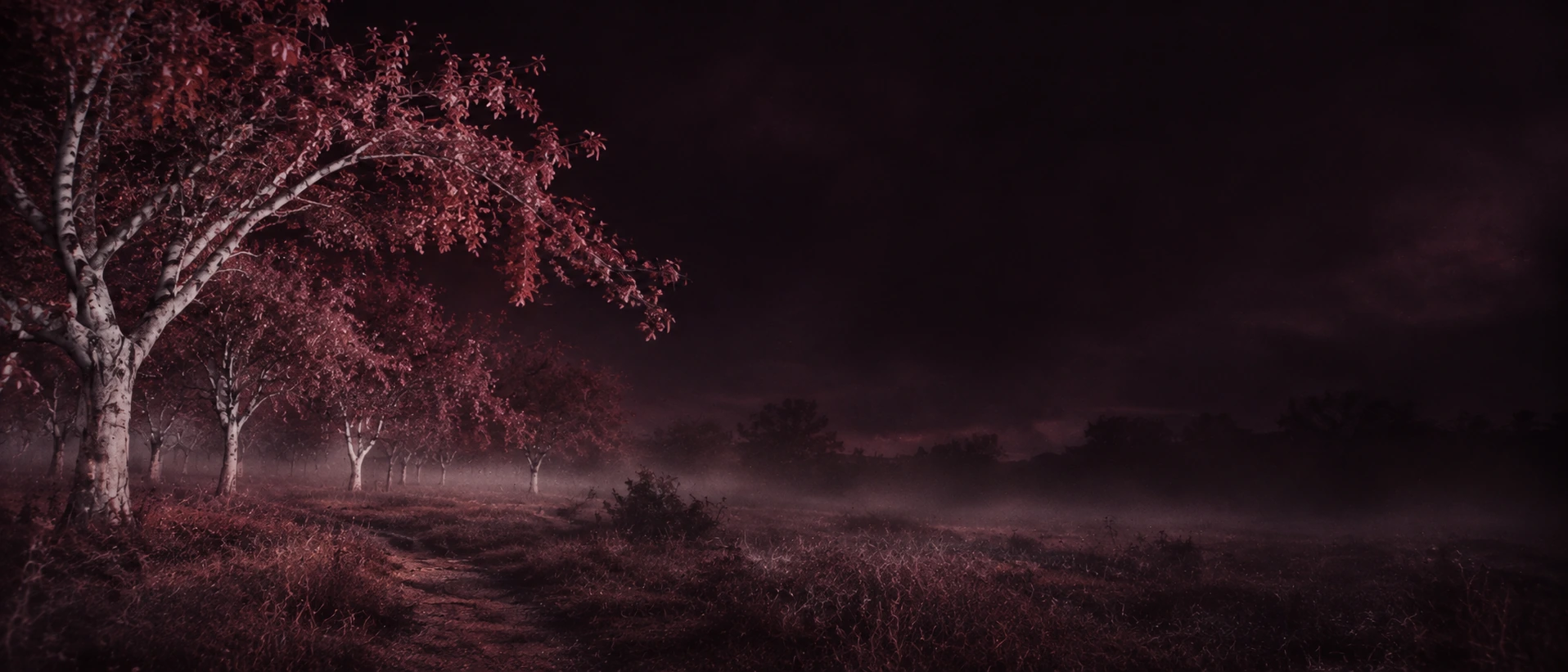 An eerie infrared orchard, wine-red foliage and pale trees. Alternate hero with copy on right.