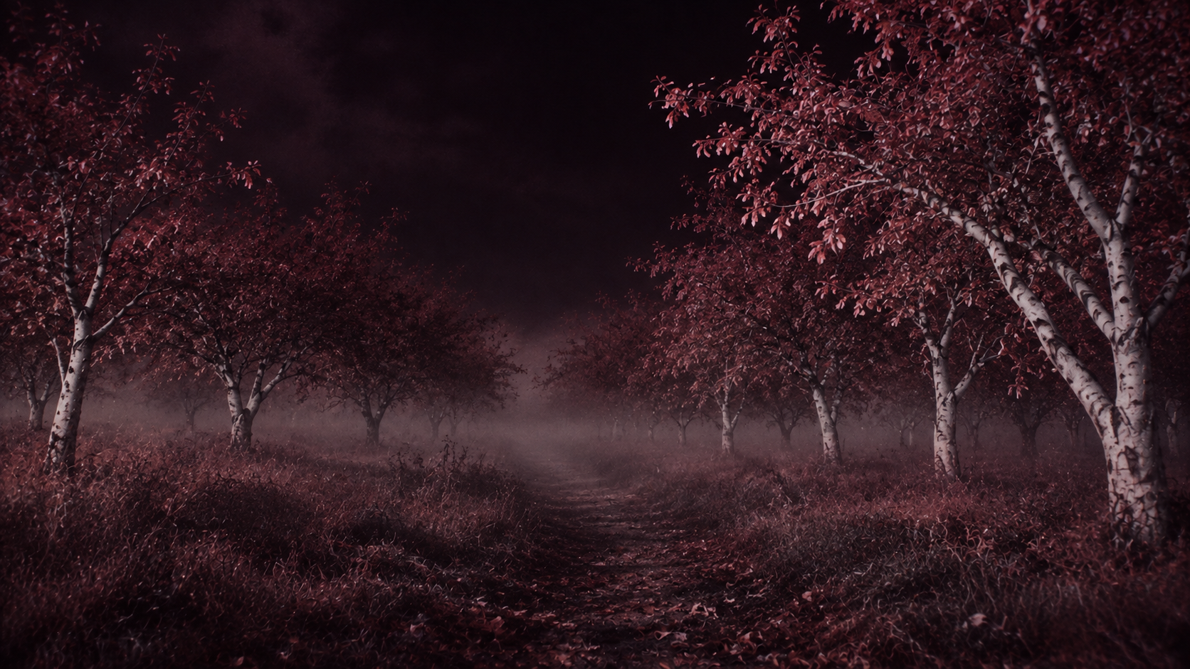 An eerie infrared orchard, wine-red foliage and pale trees. About or editorial section image.