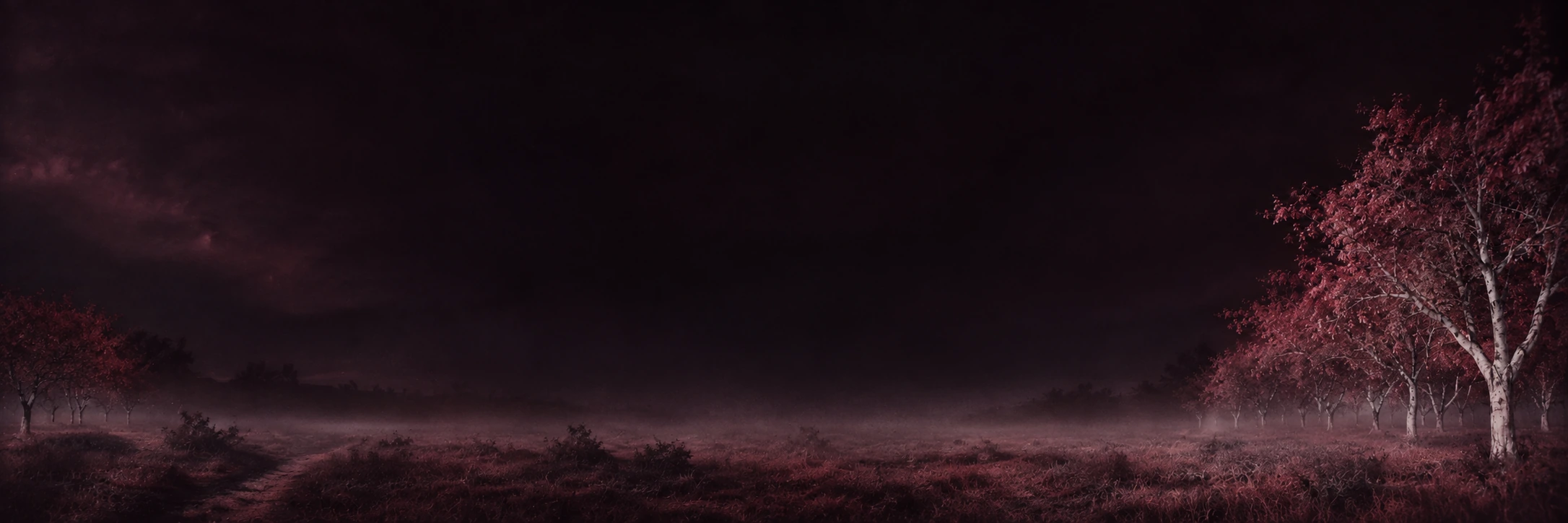 An eerie infrared orchard, wine-red foliage and pale trees. Wide quiet section divider.
