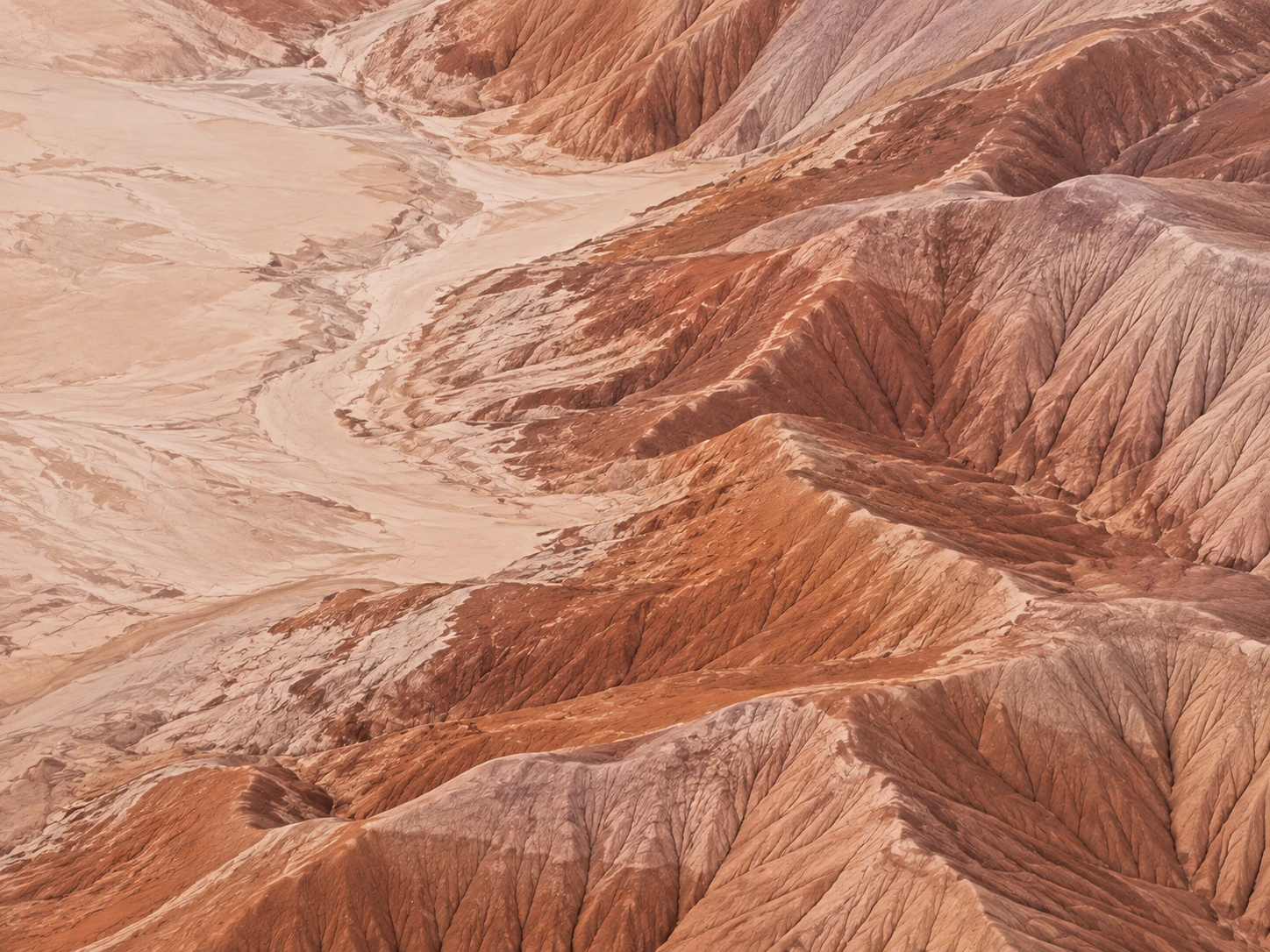 Sculpted desert lines and warm terracotta earth. Close detail for feature section.
