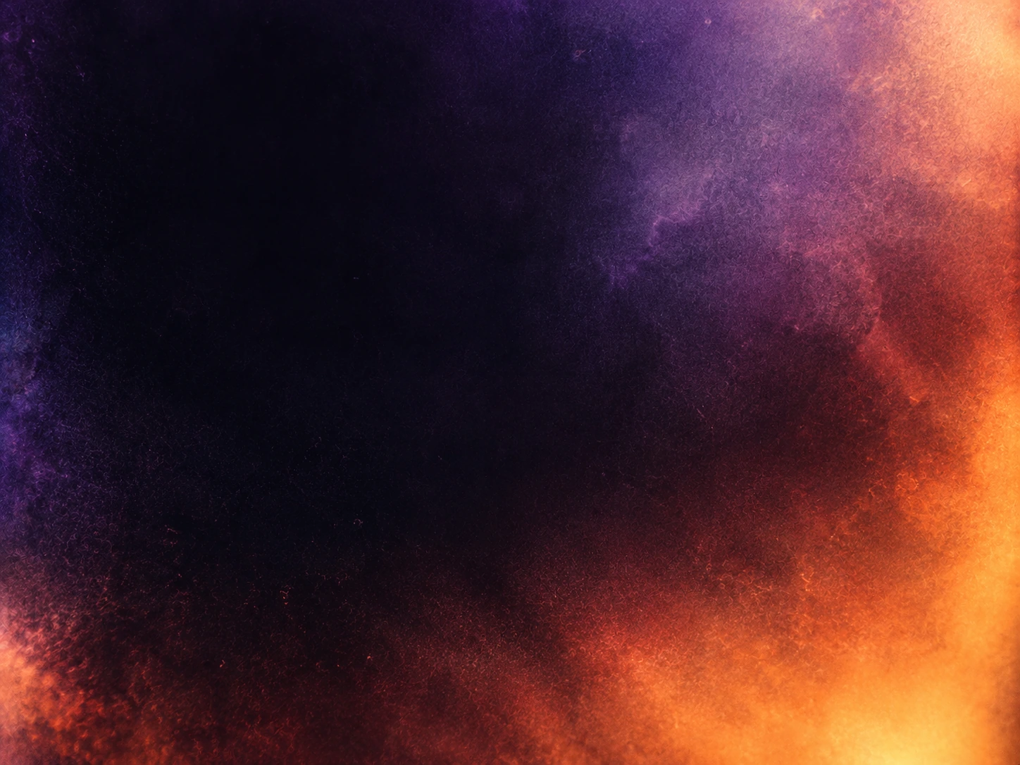Expressive violet color with the softness of analog film. Close detail for feature section.