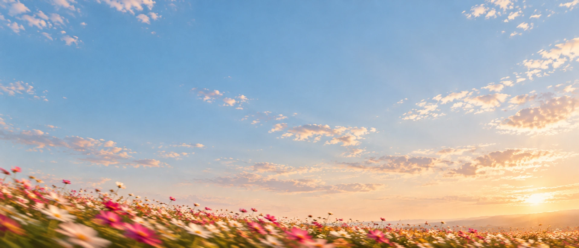 A meadow of wildflowers caught in a summer breeze. Low-detail section background or divider.